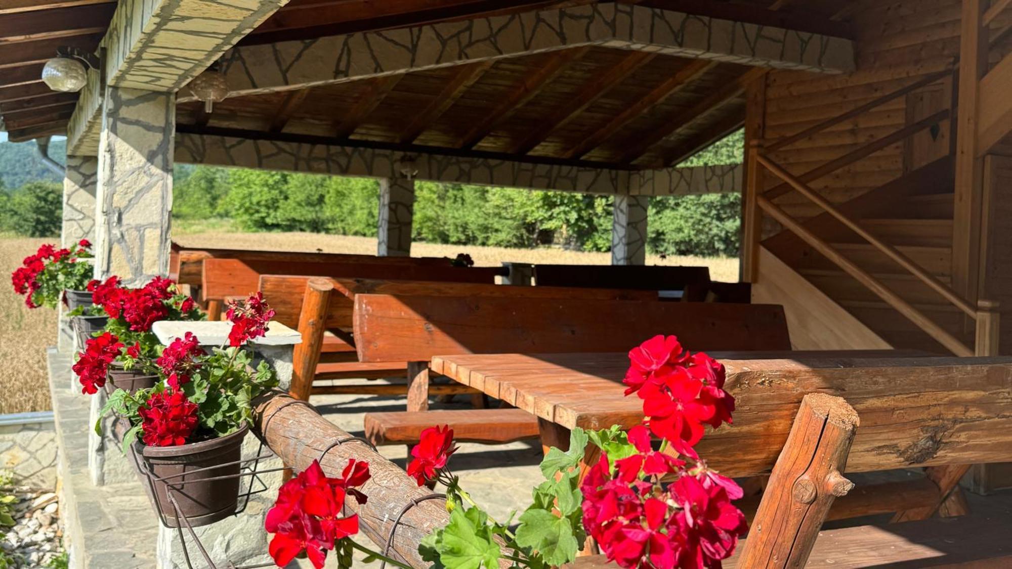 Forest Camp Bed & Breakfast Despotovac Exterior foto